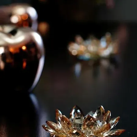 Minho Valley Apartament Caminha